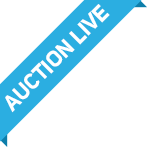 Active auction